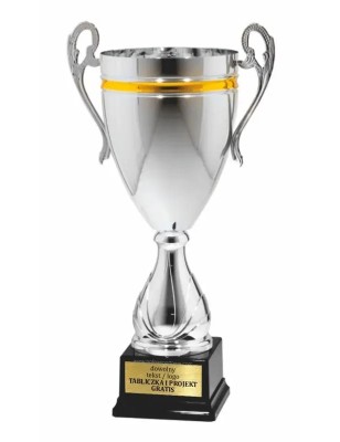 Srebrno-złoty – puchar 25116