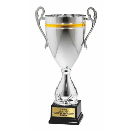 Srebrno-złoty – puchar 25116