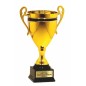 Reprezentacyjny puchar 25120 Złoto-czarny