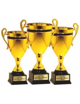 Reprezentacyjny puchar 25120 Złoto-czarny