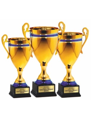 25122 | puchar złoto-niebieski