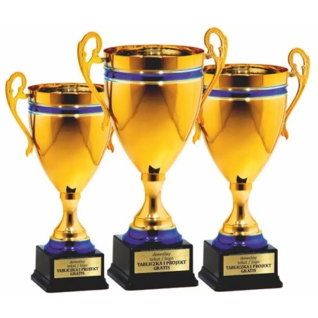 Smukły puchar złoto-niebieski 25122 personalizacja gratis