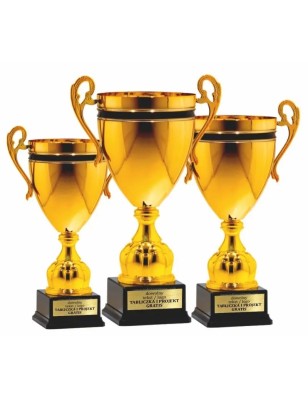 Puchar 25124 z tabliczką w cenie