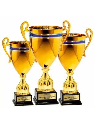 Okazały Puchar 25126 z niebieskim akcentem