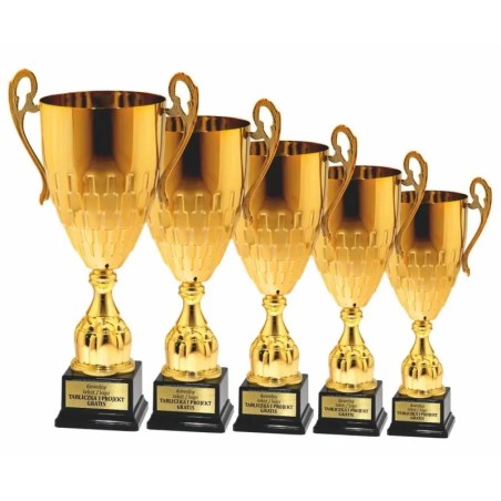 Nowoczesny Puchar 25130 na czarnej podstawie