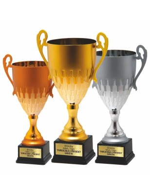 Zestaw pucharów Reprezentacyjnych złoto-srebro-brąz w macie 25134