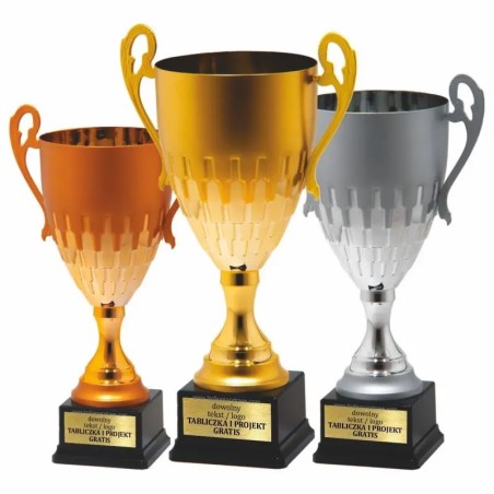 Złoto-srebrno-brązowy – puchar 25134