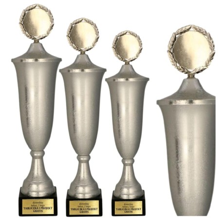Klasyczny Srebrny puchar 2095P na zawody sportowe