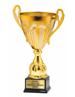 Puchar 24115 do zawodów i konkursów