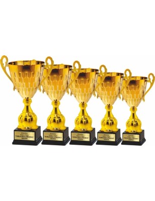 Trofeum 25147 do dekoracji zwycięzców
