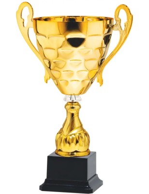 Puchar 26132 do zawodów i konkursów