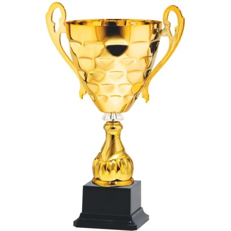 Puchar 26132 do zawodów i konkursów