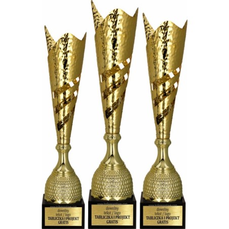 Puchar 3160 złoty na zawody sportowe