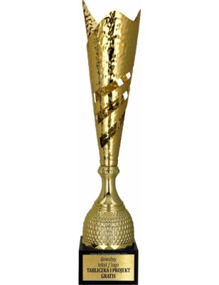 Puchar 3160 złoty na zawody sportowe