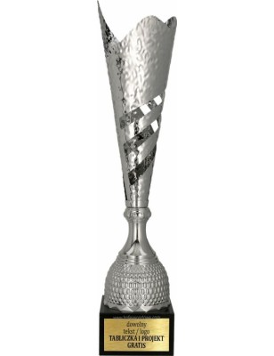 Model 3161 – klasyczny puchar sportowy