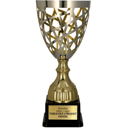 Złoto-srebrny puchar 3163 na zawody sportowe