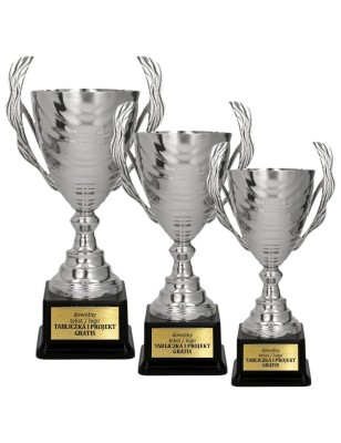 Artystyczny Puchar 2101 srebrny dla zwycięzców z opcją personalizacji