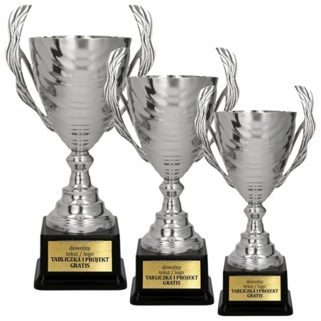Artystyczny Puchar 2101 srebrny dla zwycięzców z opcją personalizacji