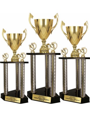 Puchar 3131-N reprezentacyjny z miejscem na figurkę