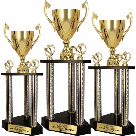 Puchar 3131-N reprezentacyjny z miejscem na figurkę