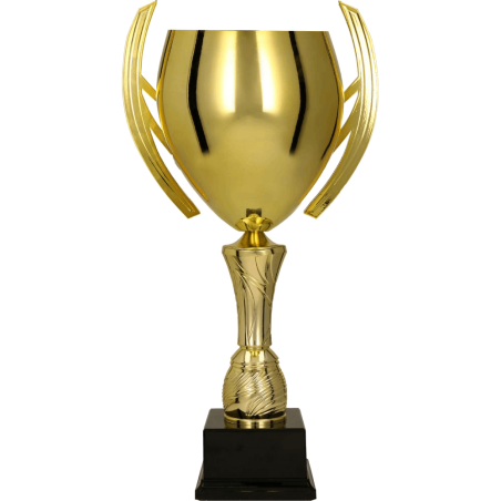 Puchar 3144 smukły złoty na prestiżowe zawody