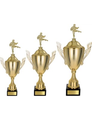 Puchar z figurką karate sztuki walki z tabliczką gratis