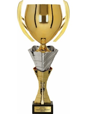 Puchar 3152 z marmurową podstawą i elegancką sylwetką