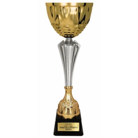 Puchar 3153 elegancki złoto-srebrny na turniej sportowy