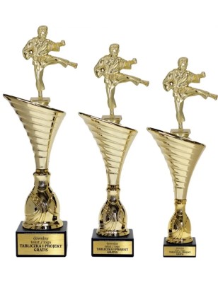 Komplet pucharów NT1000 z figurką karateka karate 34-31-30 cm