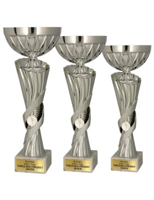 Model 9294 – Nowoczesny w srebrnej odsłonie