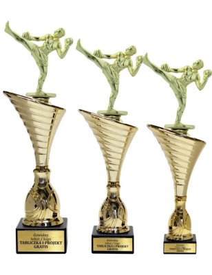 Zestaw pucharów NT1000 z figurką kickbokser kickboxing 34-31-30 cm