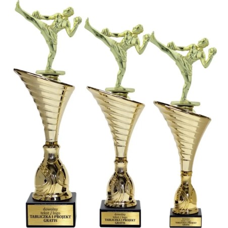 Zestaw pucharów NT1000 z figurką kickbokser kickboxing 34-31-30 cm