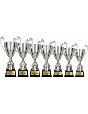 Puchar 4105 srebrny dla zwycięzców