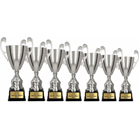 Puchar 4105 srebrny dla zwycięzców