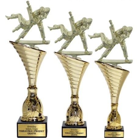 Zestaw pucharów NT1000 z figurką judoka judo sztuki walki 33-30-29 cm