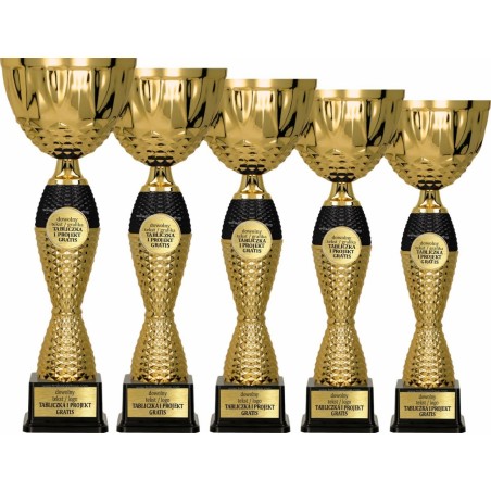 Puchar 4221 złoto-czarny z miejscem na emblemat