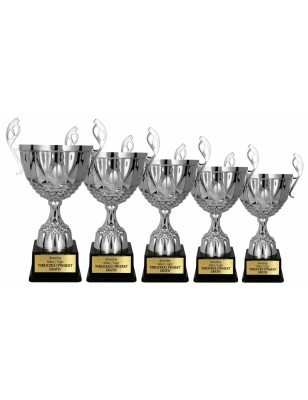 Puchar 7221 srebrny klasyczny na zawody