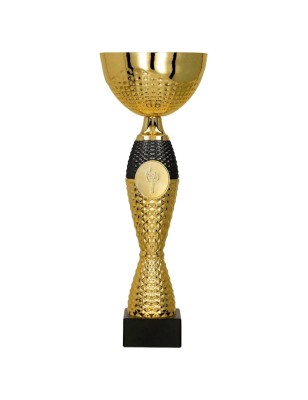 Puchar 8346 z medalionem dla zwycięzców