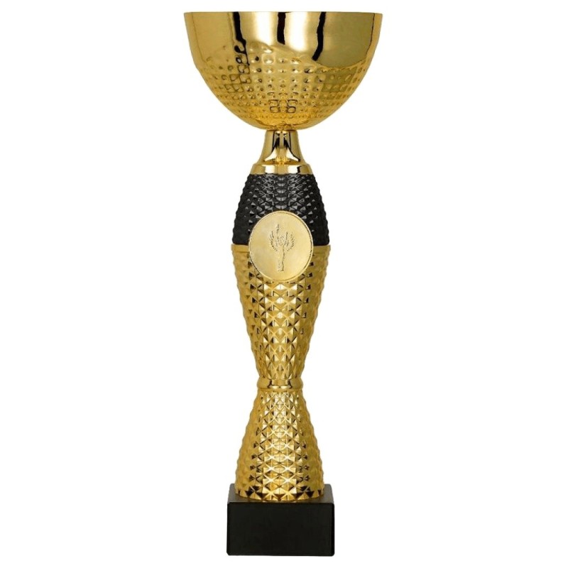 Puchar 8346 z medalionem dla zwycięzców