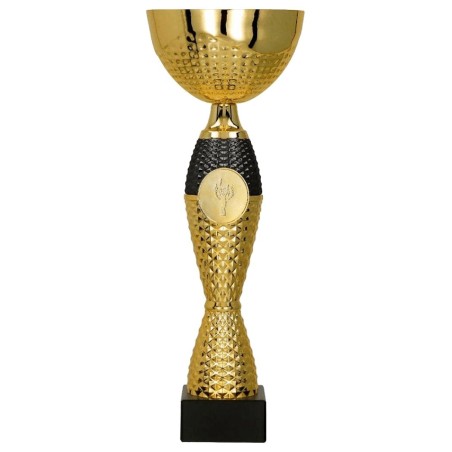 Puchar 8346 z medalionem dla zwycięzców