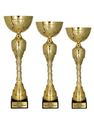 Puchar 8487 na rozbudowane podium