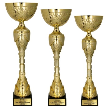 Puchar 8487 na rozbudowane podium