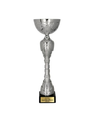 Model 8488 – New 2026 w srebrnej odsłonie