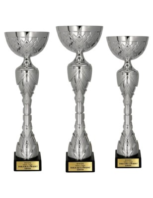 Model 8488 – w srebrnej odsłonie