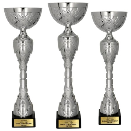 Model 8488 – w srebrnej odsłonie