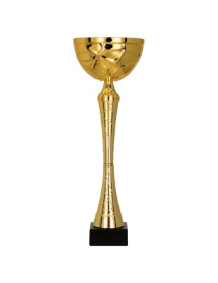 Puchar sportowy 9251 na reprezentacyjne podium