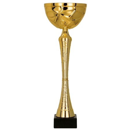 Puchar sportowy 9251 na reprezentacyjne podium