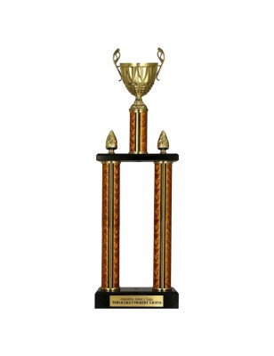 Puchar sportowy 2087 o klasycznej formie