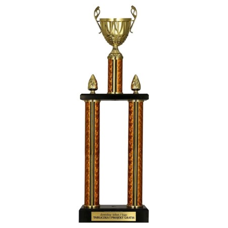 Puchar sportowy 2087 o klasycznej formie