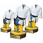 Komplet statuetek z drewna JUDO 30-25-22cm Komplet statuetek z drewna JUDO 30-25-22cm